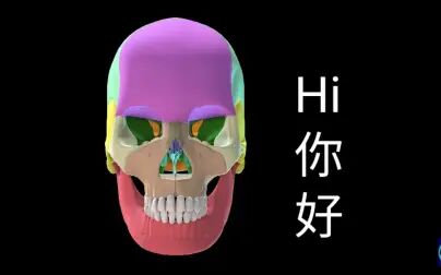 [图]【高清动画】颅骨3D动画模拟-中文字幕