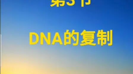 [图]DNA的复制