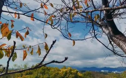 [图]安静地看着晴朗的天空 自然环境声音