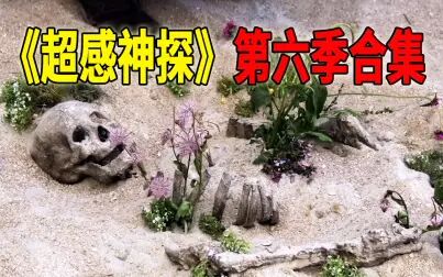 [图]高分犯罪推理剧《超感神探》第六季合集