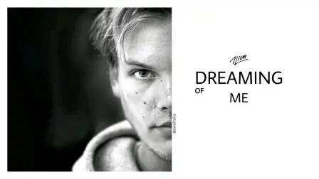 [图]Avicii-Dreaming Of Me