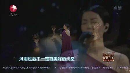 [图]王菲 - 人间(2017东方卫视梦圆东方跨年盛典现场)