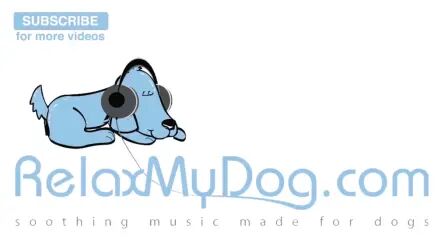 [图]8 Hours of RelaxMyDog Music! Soothing Music for Dogs