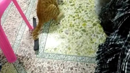 item.title
