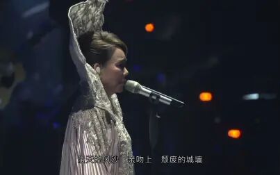 [图]辛晓琪《人生若只如初见》演唱会.1080p