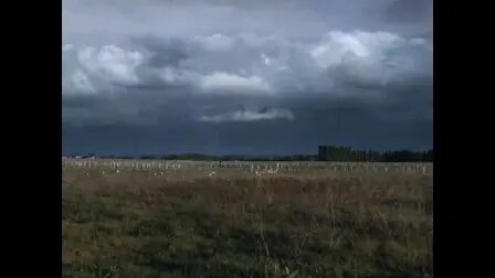 [图]恐怖短片《酸雨》片段(2)