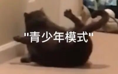 item.title