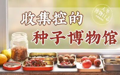 [图]收集控的种子博物馆【天冬博物日志】【去看植物吧】