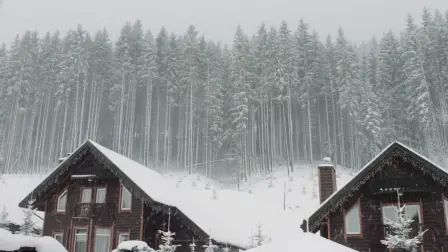 [图]雪风暴的声音-令人放松的冬季背景声音-大风雪