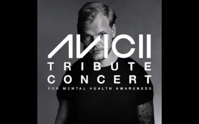 [图]Avicii Tribute Concert Audio Only Friend Of Mine ft Vargas Lagola