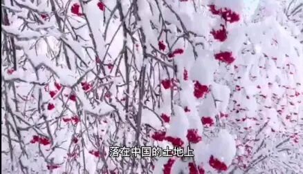 [图]大雪中的中国 作者|欧震 诵读|费军 红石