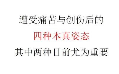 [图]【伦理学】遭受痛苦与创伤后的四种本真姿态——其中两种目前尤为重要