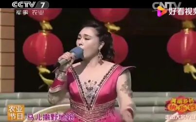 [图]乌兰托娅演唱《火苗》音乐现场