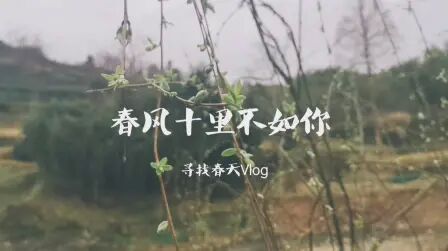 [图]一周寻春vlog|油菜花 杏花都开了呢~诗词里的杏花烟雨江南被我找到了