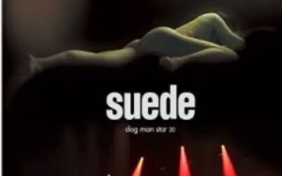 [图]SUEDE - 2014迷笛现场 -《Dog Man Star》20周年演出