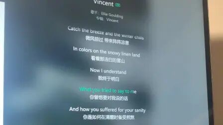 [图]这个版本的Vincent绝了【翻唱】