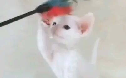 item.title