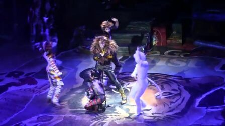 [图]2016 音乐剧猫CATS Broadway 全剧录像