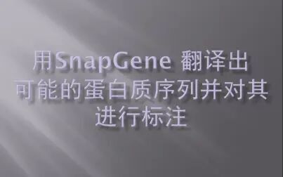 [图]用SnapGene 翻译出可能的蛋白质序列并对其进行标注