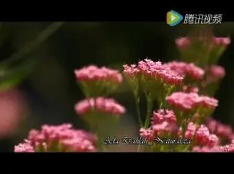 [图]班得瑞《爱的韵律》在思念时静静的听