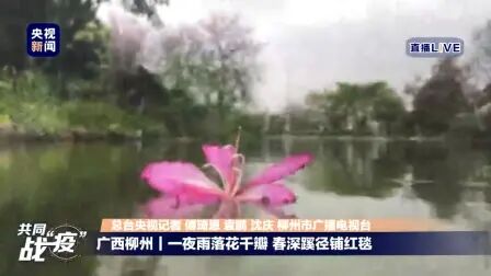 [图]【搬运】央视新闻特别节目:百花报信唤新时《云赏春,阳春三月》...