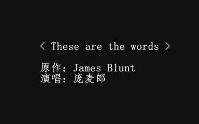 [图]【庞麦郎】These are the words