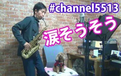 [图]【萨克斯】泪光闪闪 BEGIN - 涙そうそう - Alto Saxophone Cover