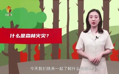 [图]森林防火小知识①丨什么是森林火灾