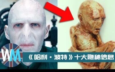 [图]《哈利·波特》十大惊人隐藏信息