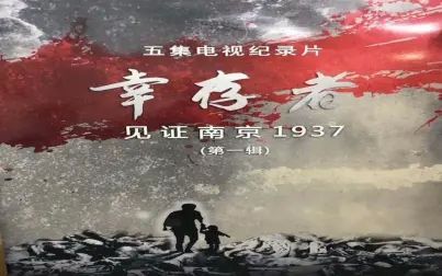 [图]央视纪录片《幸存者—见证南京1937》全2季 汉语内嵌中字 720P高清...