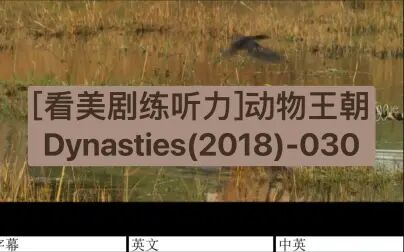 [图][看美剧练听力]动物王朝Dynasties(2018)-030