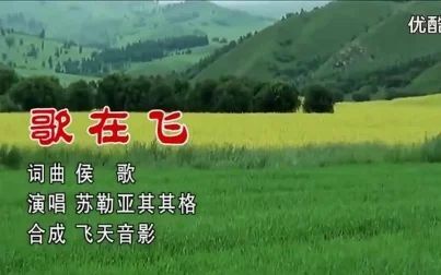 [图]歌在飞(苏勒亚其其格 MTV版)超清等共3p