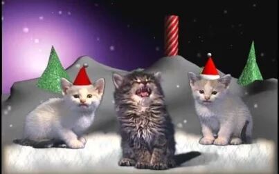 [图]the silent night-jingle cats 喵版平安夜(>^ω^<)