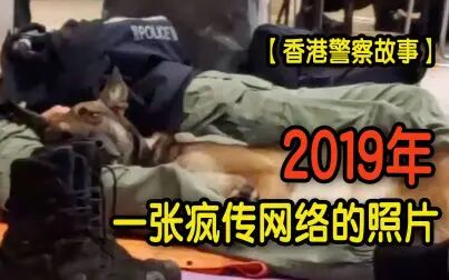 [图]【香港警察故事】 张Sir与警犬Mike