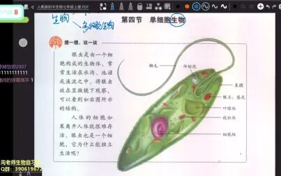 [图]初中生物七年级上册人教版【单细胞生物】课本回顾