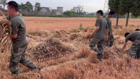 [图]长思特训教育—让问题孩子走出成长泥潭