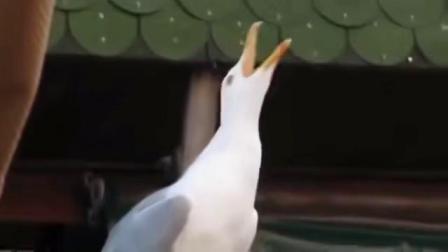 item.title