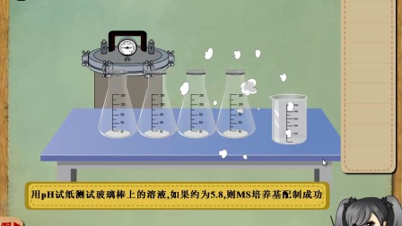 [图]高中生物实验33菊花的组织培养