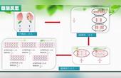 [图]4月26日三年级数学认识一个整体的几分之一
