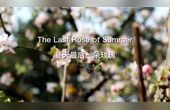 [图]The Last Rose of Summer《夏天的最后一朵玫瑰》