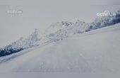 [图]《美丽中国自然》 三江并流系列 水母雪兔子 滇西北 高山流石滩