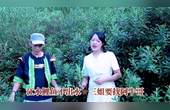 [图]广西采茶山歌-妹在山中采茶忙