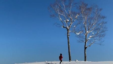 [图]雪地里的星星