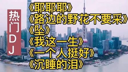 [图]热门DJ歌曲《耶耶耶》《路边的野花不要采》《坠》《我这一生》