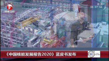 [图]《中国核能发展报告2020》蓝皮书发布