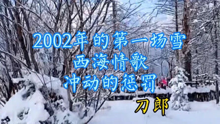 [图]刀郎经典歌曲《2002年的第一场雪》《西海情歌》《冲动的惩罚》