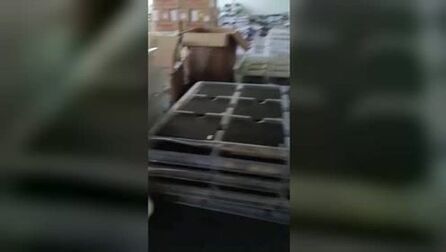 item.title