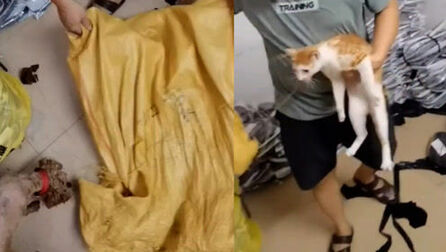 item.title