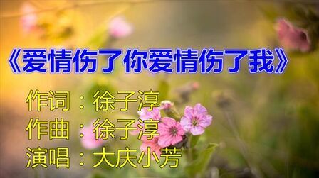 [图]金曲推荐《大庆小芳-爱情伤了你爱情伤了我》重感情的人 真的好累