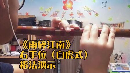 [图]《雨碎江南》近距离指法演示